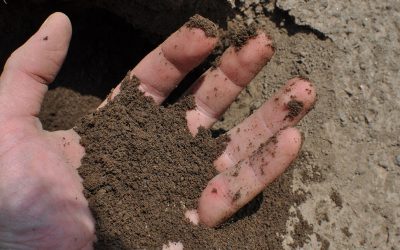 Topsoil